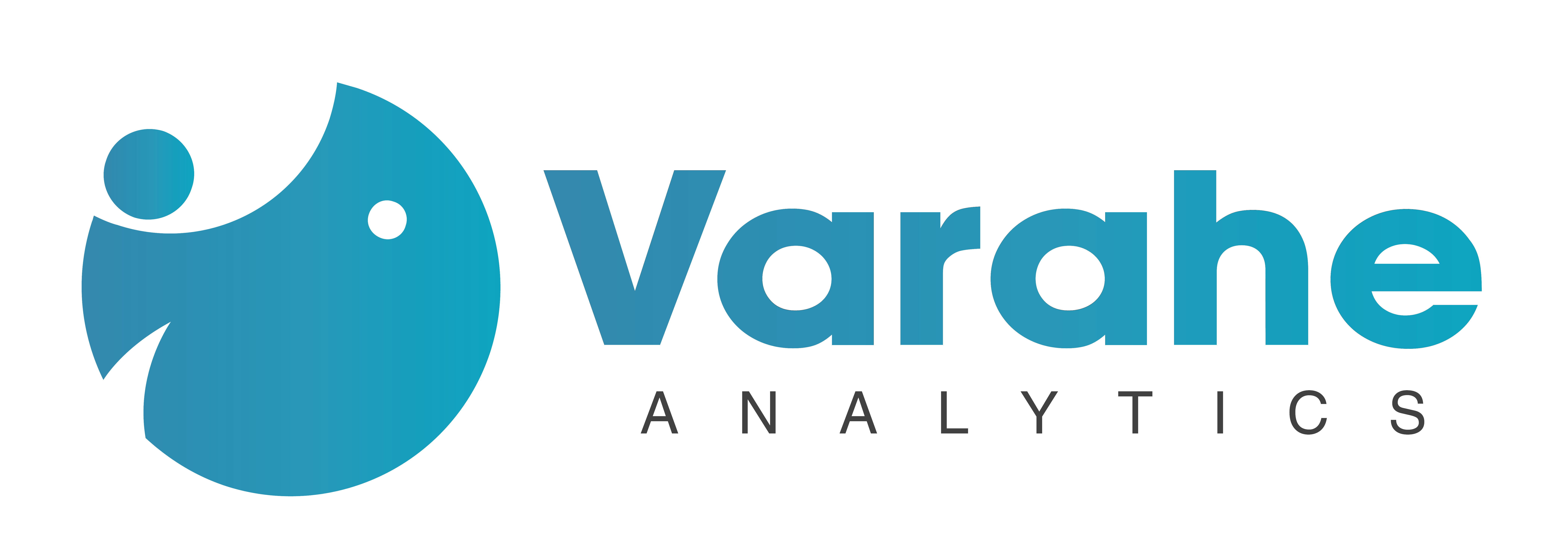 Varahe Analytics